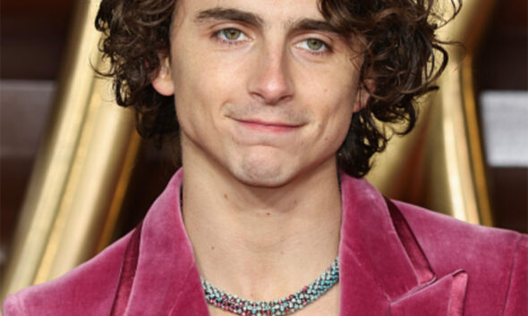 Timothée Chalamet Wore a Cartier Necklace to the Wonka World Premiere in London